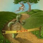 tortoise and the hare